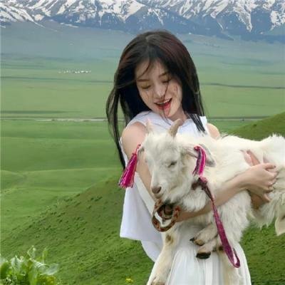 龙门驿站之蝴蝶飞